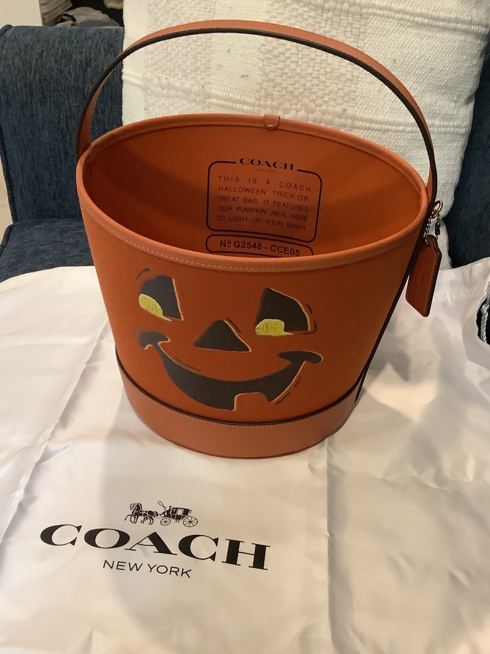 Coach Orange Pumpkin-Themed Bucket Bag with Leather Tag